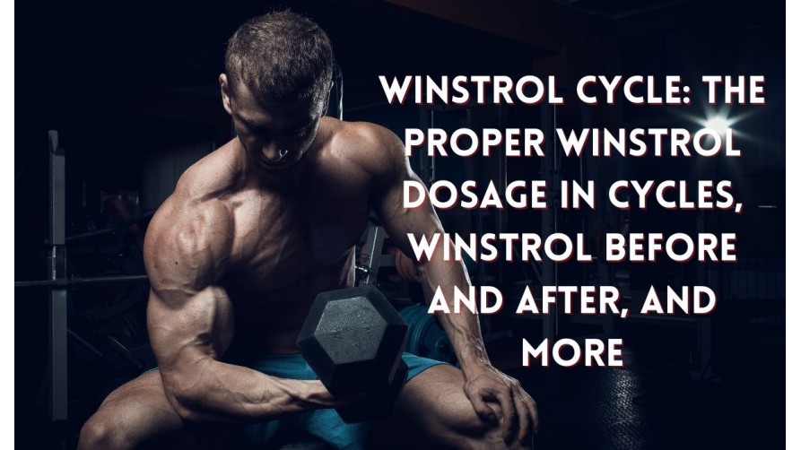 Winstrol Cycle: The Proper Winstrol Dosage in Cycles